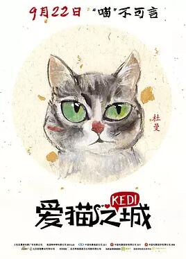 爱猫之城