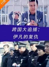 跨国大追捕：伊凡的复仇