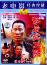 敌后武工队(1995)