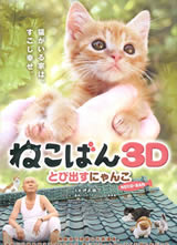 小猫跳出来3D