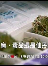 大麻：毒品还是仙丹